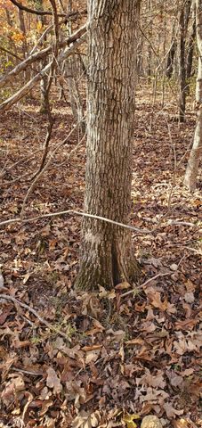 3940 County Road 2350, Pomona, MO 65789