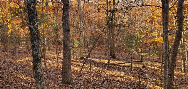 3940 County Road 2350, Pomona, MO 65789