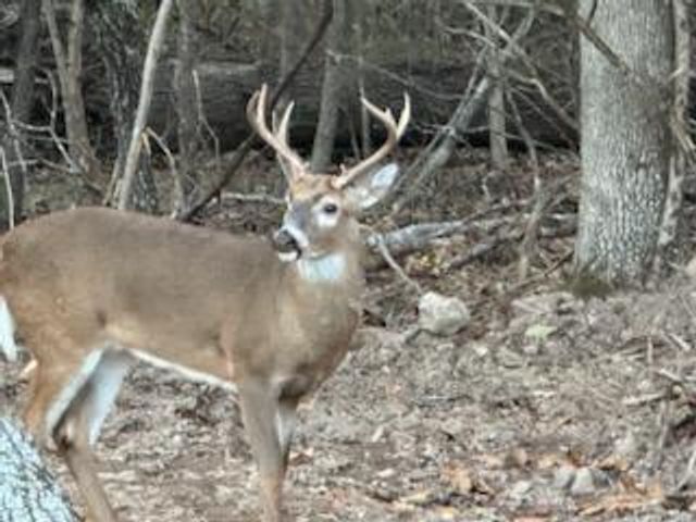 3940 County Road 2350, Pomona, MO 65789