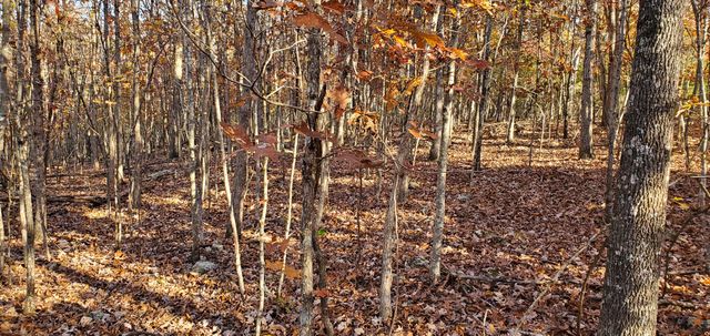 3940 County Road 2350, Pomona, MO 65789