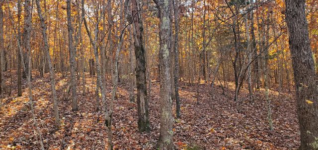 3940 County Road 2350, Pomona, MO 65789