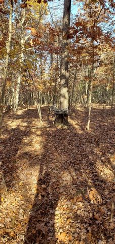 3940 County Road 2350, Pomona, MO 65789