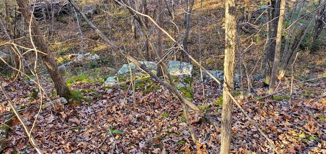 3940 County Road 2350, Pomona, MO 65789