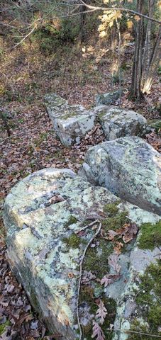 3940 County Road 2350, Pomona, MO 65789