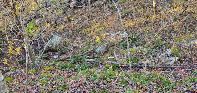 3940 County Road 2350, Pomona, MO 65789