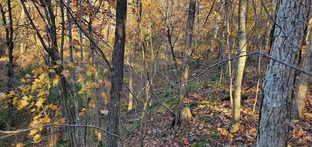 3940 County Road 2350, Pomona, MO 65789