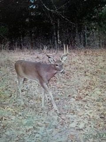 3940 County Road 2350, Pomona, MO 65789