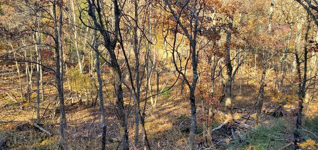 3940 County Road 2350, Pomona, MO 65789