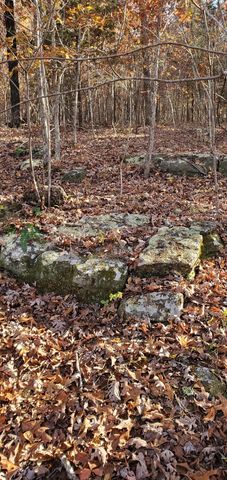 3940 County Road 2350, Pomona, MO 65789