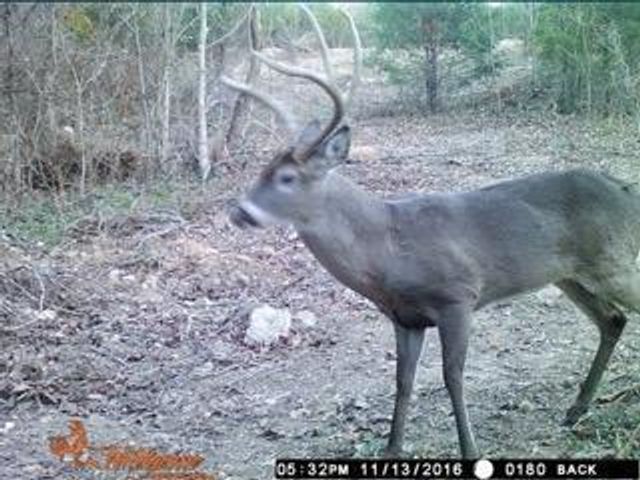 3940 County Road 2350, Pomona, MO 65789