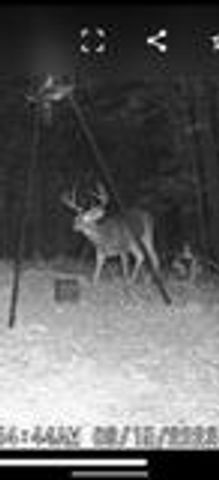 3940 County Road 2350, Pomona, MO 65789