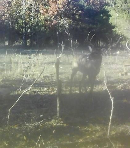 3940 County Road 2350, Pomona, MO 65789