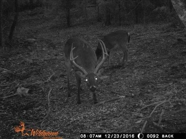 3940 County Road 2350, Pomona, MO 65789