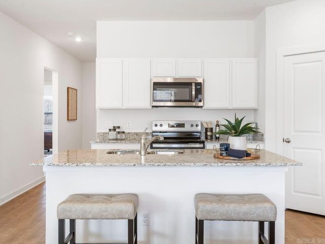 119 E Fredonia Court, Mayflower, AR 72106