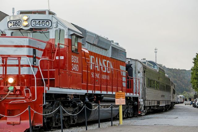 350 Wildwood Drive S A, Branson, MO 65616