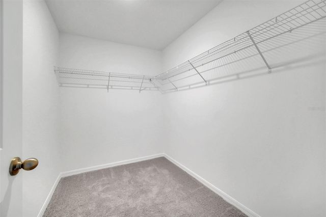 246 MANDOVI STREET, Davenport, FL 33837