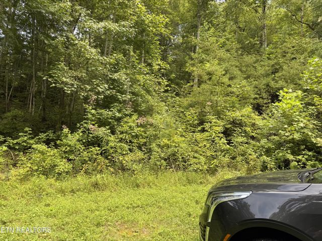 0 Coy Rhea Way, Sevierville, TN 37876