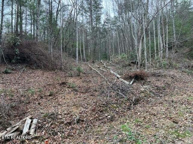 0 Coy Rhea Way, Sevierville, TN 37876