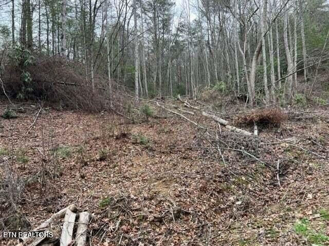 0 Coy Rhea Way, Sevierville, TN 37876