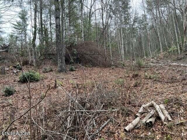 0 Coy Rhea Way, Sevierville, TN 37876