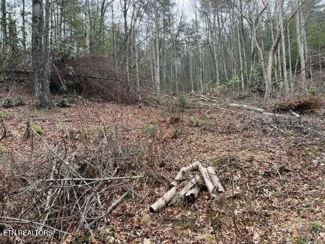 0 Coy Rhea Way, Sevierville, TN 37876