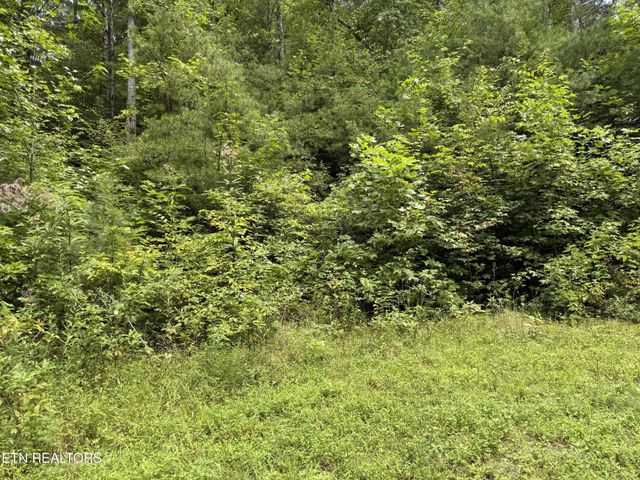0 Coy Rhea Way, Sevierville, TN 37876