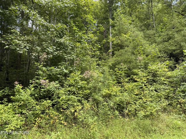 0 Coy Rhea Way, Sevierville, TN 37876