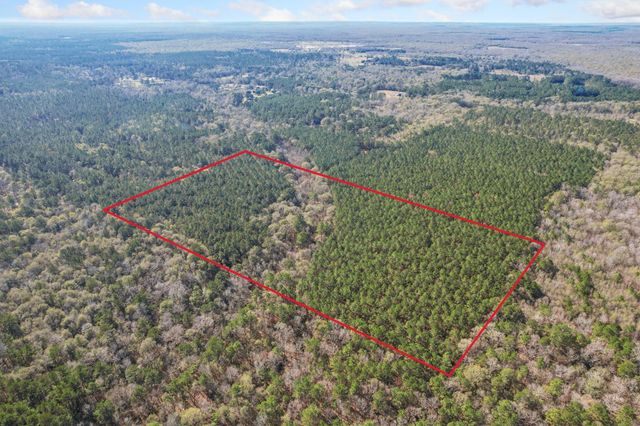 473 County Road 2125, Cleveland, TX 77327