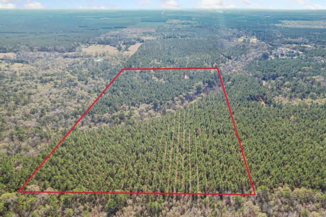 473 County Road 2125, Cleveland, TX 77327