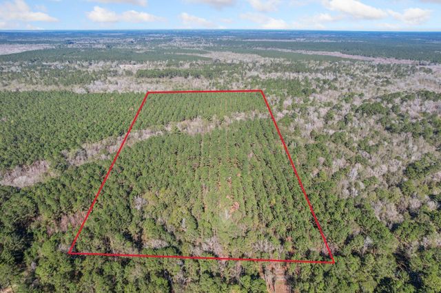 473 County Road 2125, Cleveland, TX 77327