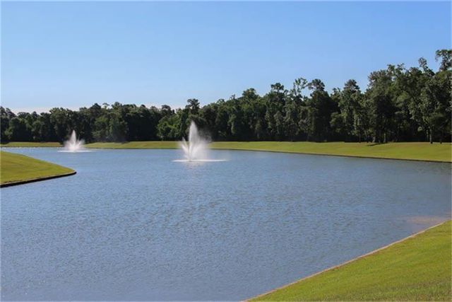 18531 Duke Lake Drive, Spring, TX 77388
