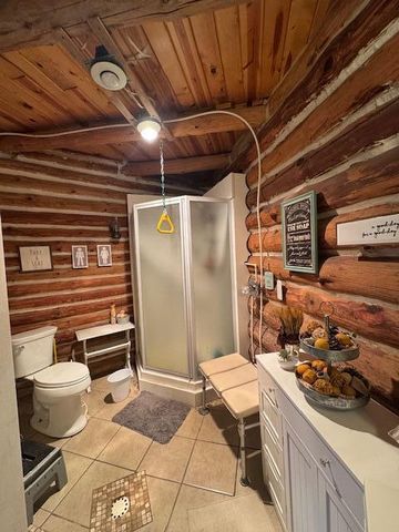 9013 S Three Lakes Lane, Baldwin, MI 49304