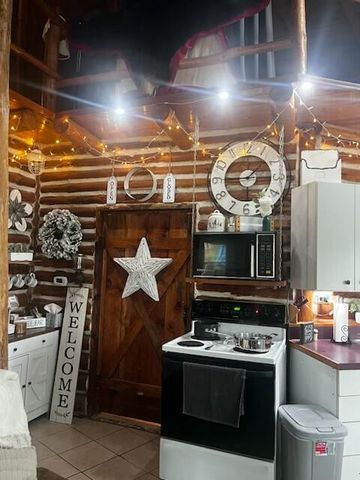 9013 S Three Lakes Lane, Baldwin, MI 49304