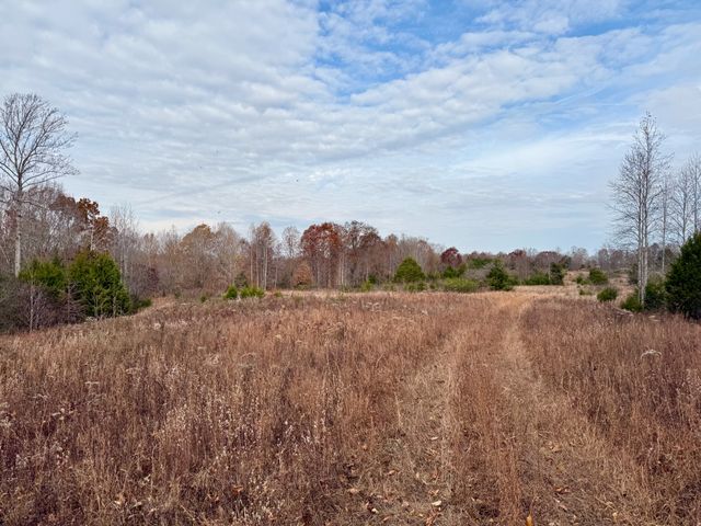 0 Brock Rd, Charlotte, TN 37036