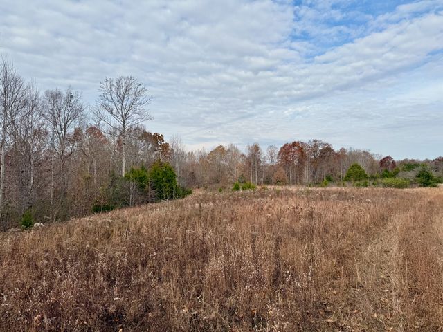 0 Brock Rd, Charlotte, TN 37036