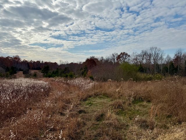 0 Brock Rd, Charlotte, TN 37036