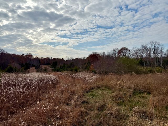 0 Brock Rd, Charlotte, TN 37036