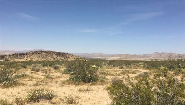 48364 Saddle Rock, Landers, CA 92285