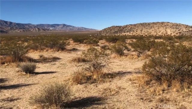 48364 Saddle Rock, Landers, CA 92285