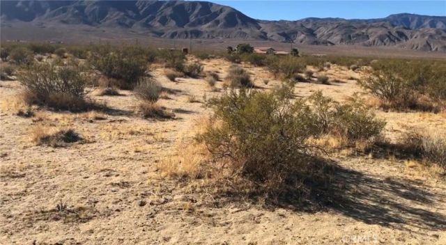 48364 Saddle Rock, Landers, CA 92285