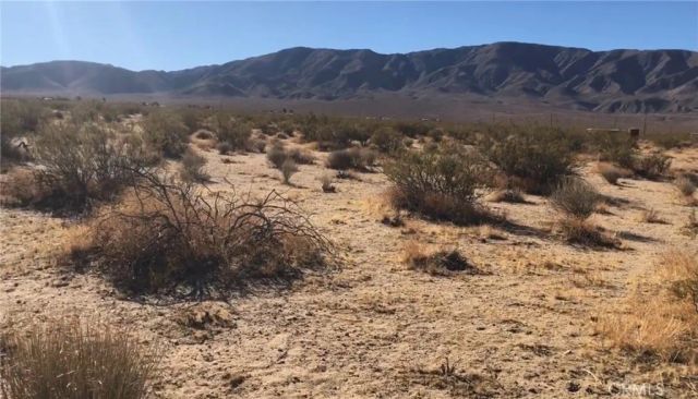 48364 Saddle Rock, Landers, CA 92285