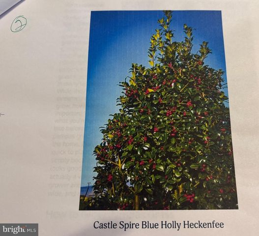 6 BRADLEY CIR, Middletown, DE 19709