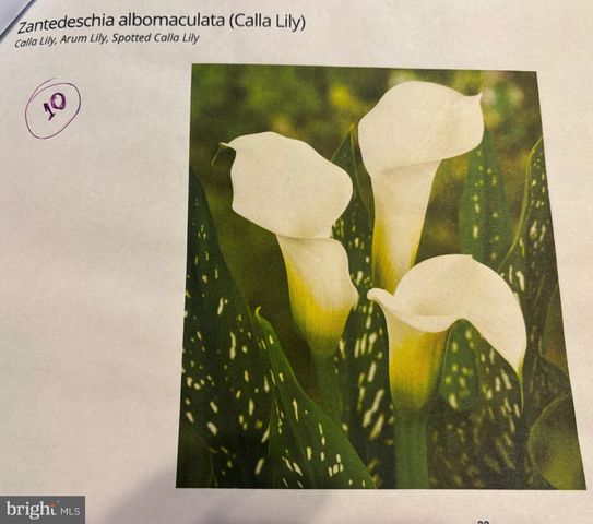 6 BRADLEY CIR, Middletown, DE 19709