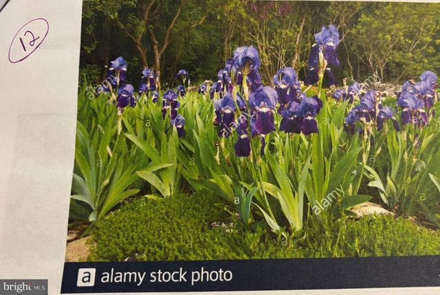 6 BRADLEY CIR, Middletown, DE 19709