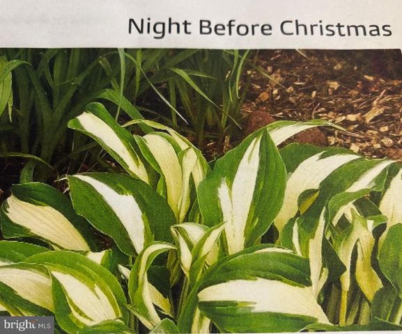 6 BRADLEY CIR, Middletown, DE 19709