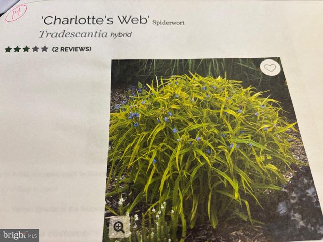 6 BRADLEY CIR, Middletown, DE 19709