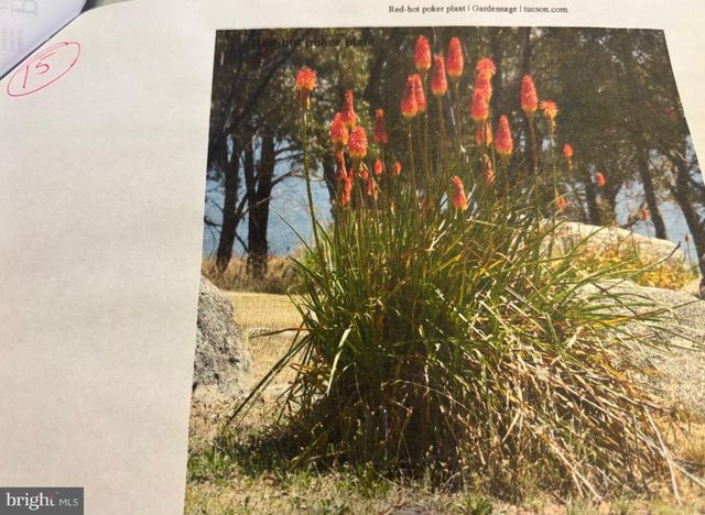 6 BRADLEY CIR, Middletown, DE 19709