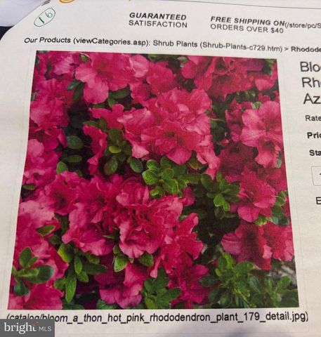 6 BRADLEY CIR, Middletown, DE 19709