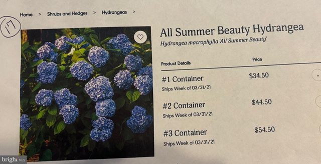 6 BRADLEY CIR, Middletown, DE 19709