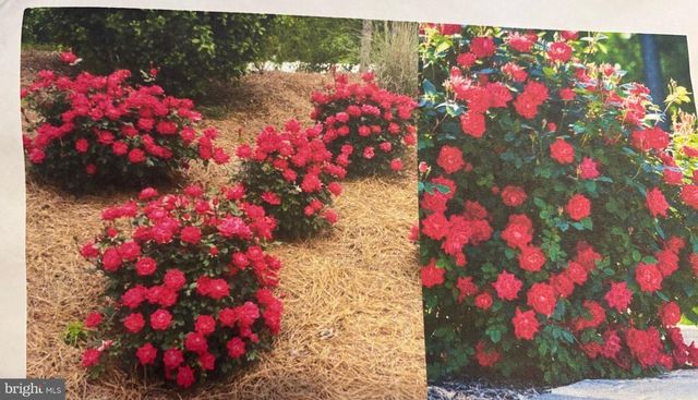 6 BRADLEY CIR, Middletown, DE 19709